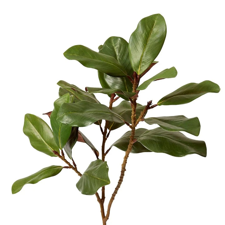 Luxury Green Magnolia Leaf Spray