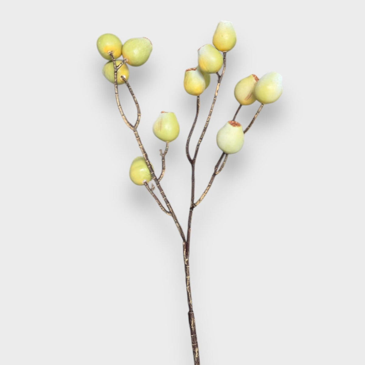 Gumnut Spray Green 71cm
