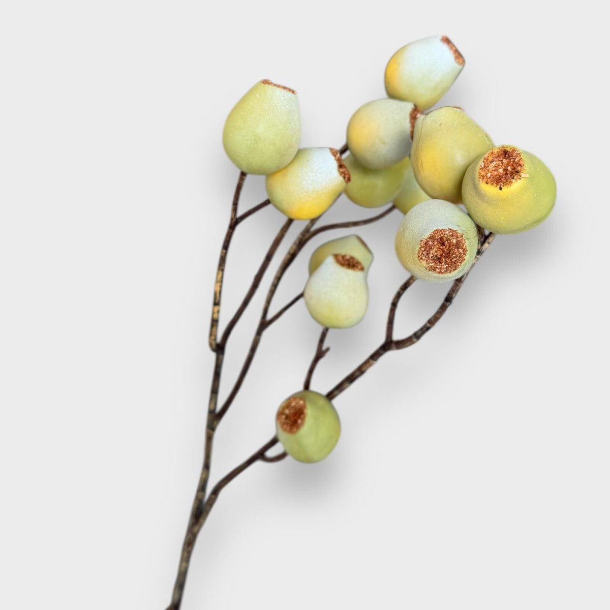 Gumnut Spray Green 71cm