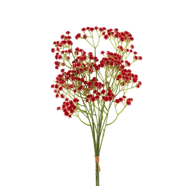 Gypsophila baby&