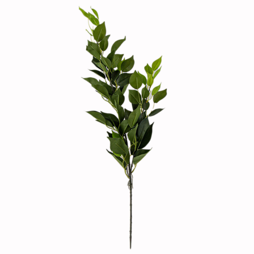 Ficus Leaves Green 59cm