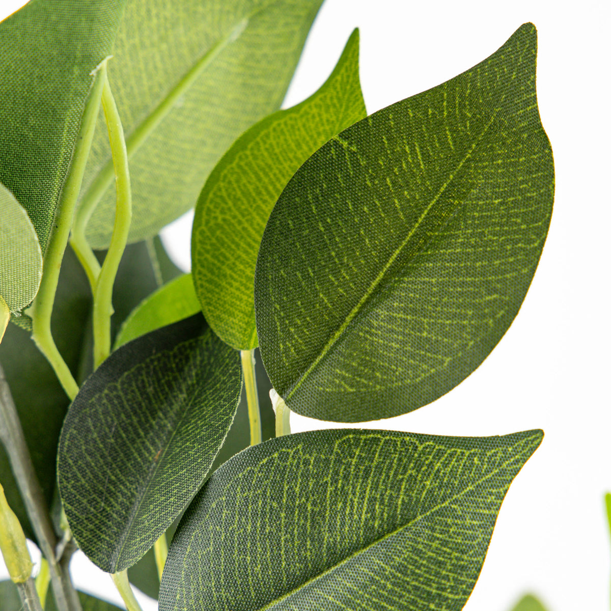 Ficus Leaves Green 59cm