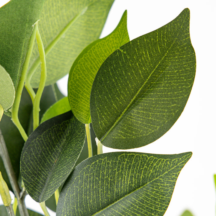 Ficus Leaves Green 59cm