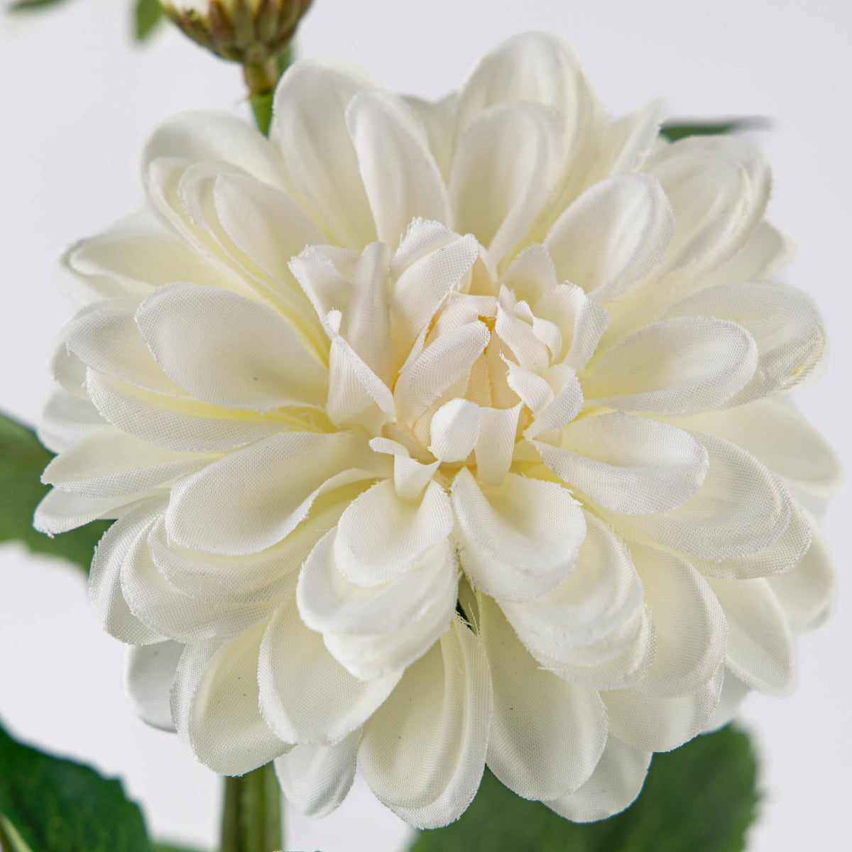 Dahlia Spray White 70cm