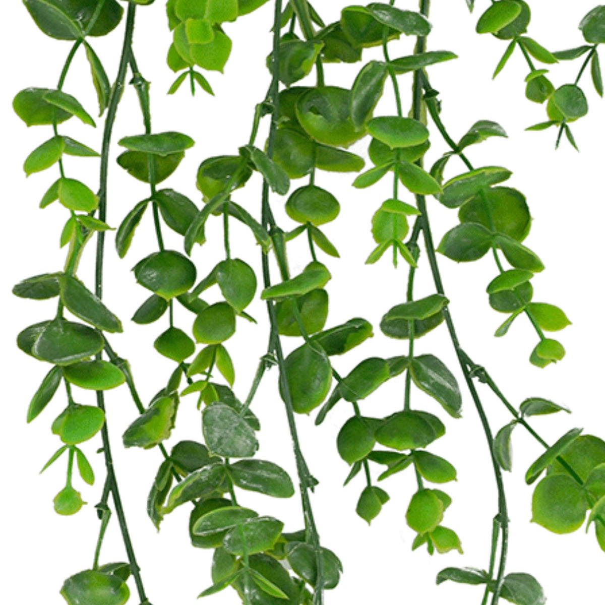 Hanging Eucalyptus Bush 77cm
