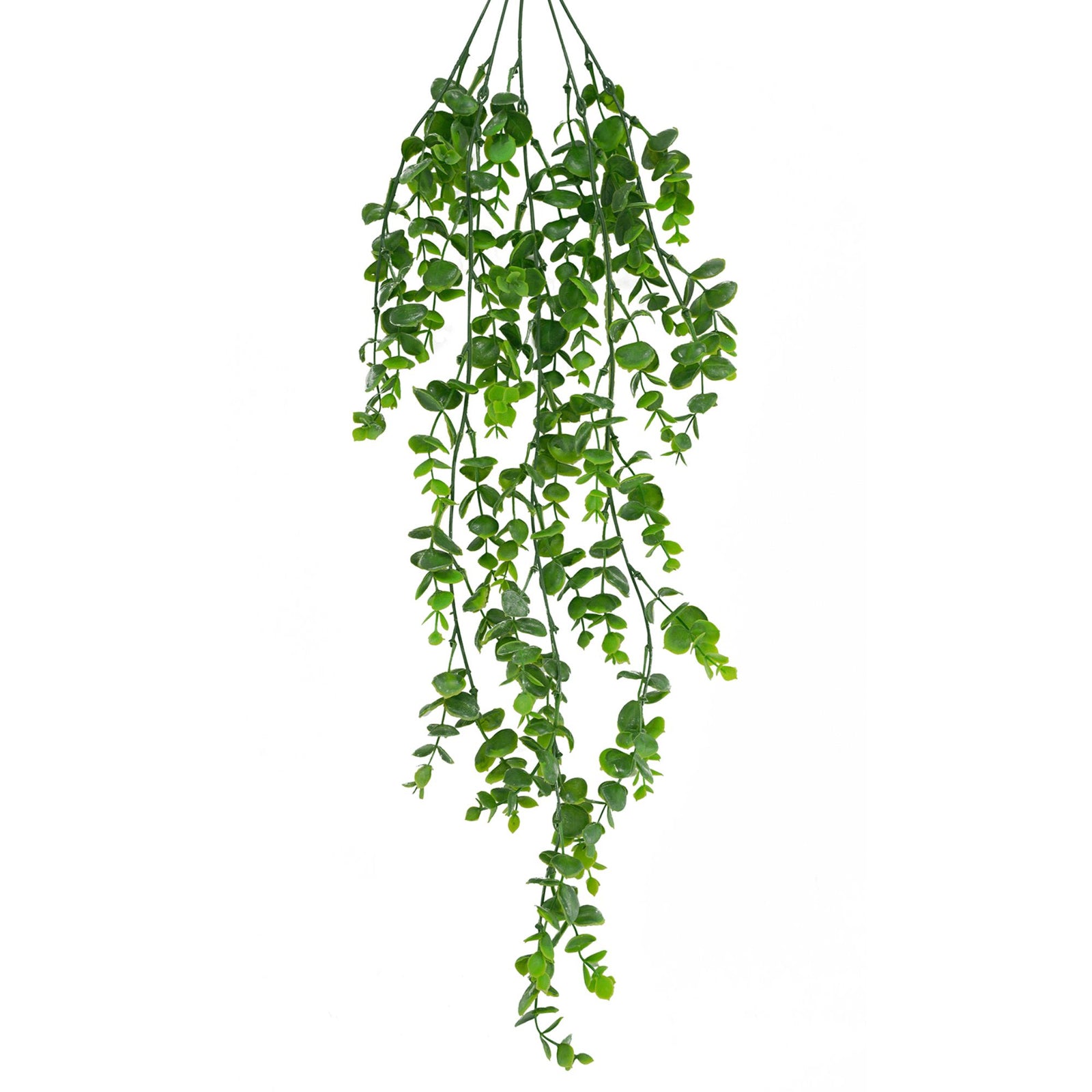 Hanging Eucalyptus Bush 77cm