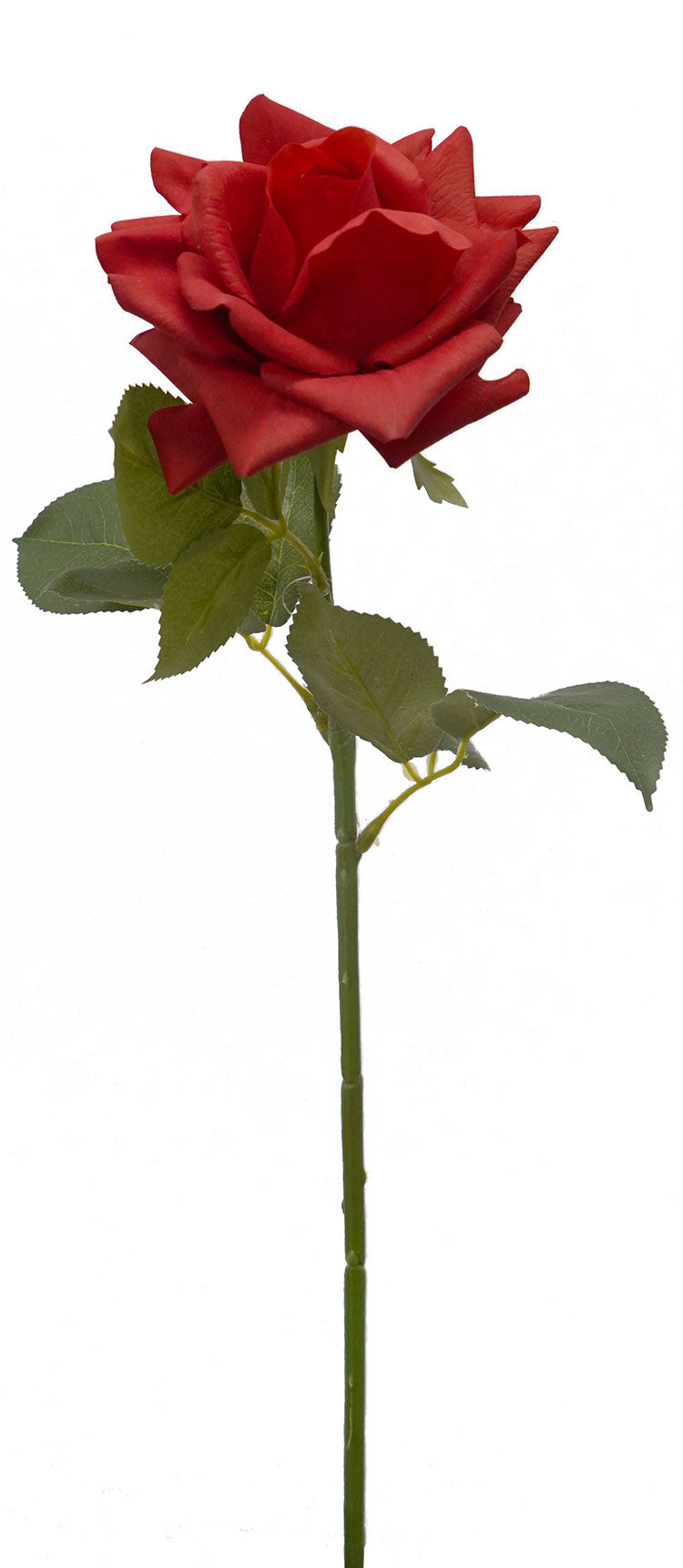 Real Touch Ecuador Rose - Red 73cm