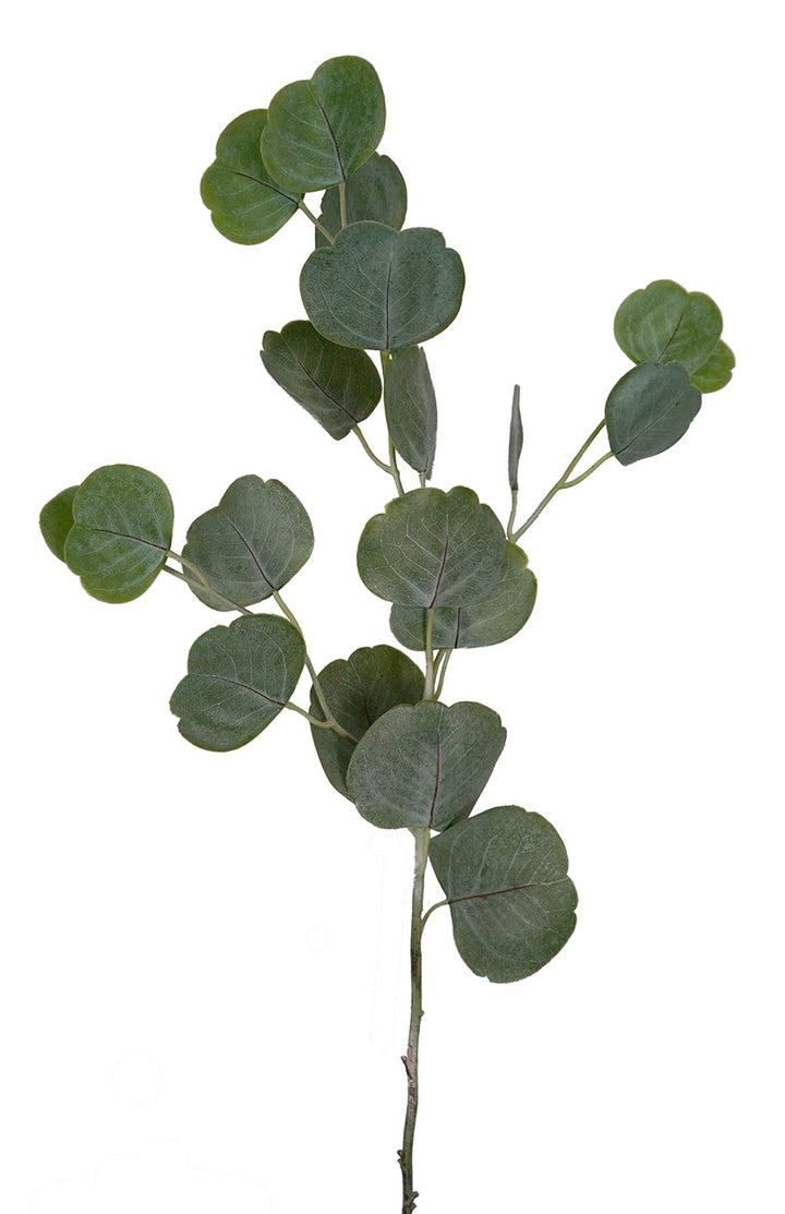 Eucalyptus Spray Real Touch 68cm