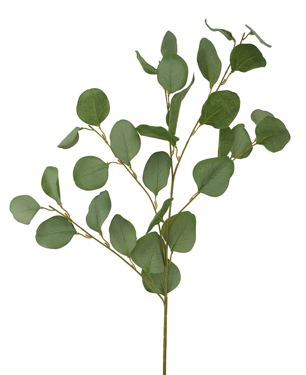 Silver Dollar Spray - Green (90cm)