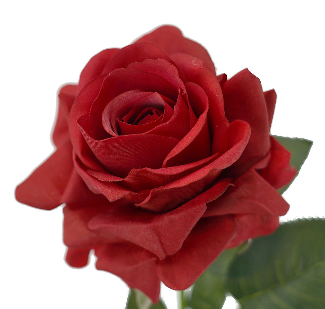 Real Touch Prima Rose - Red 65cm