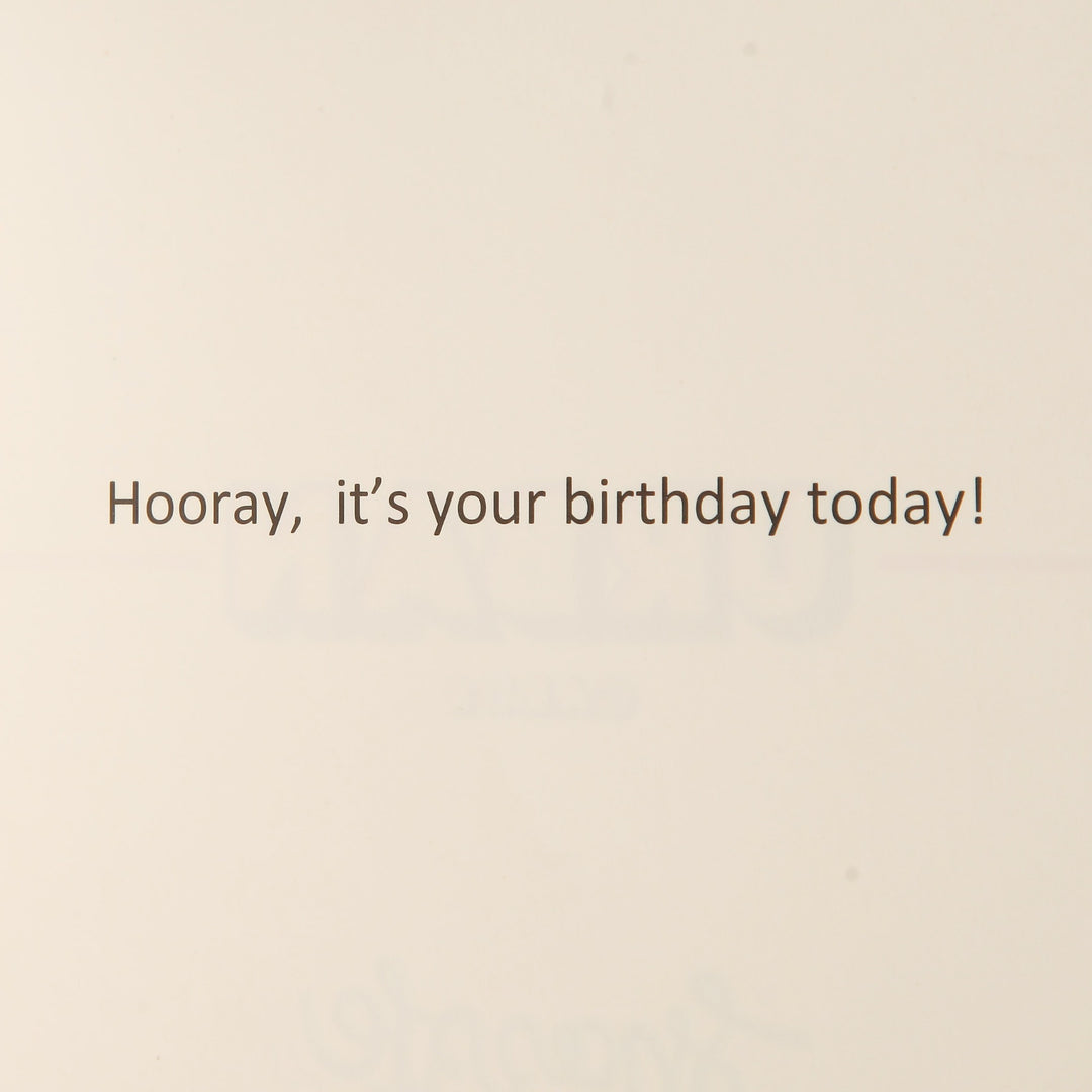 Hooray Card and Wrap Watercolour Craft