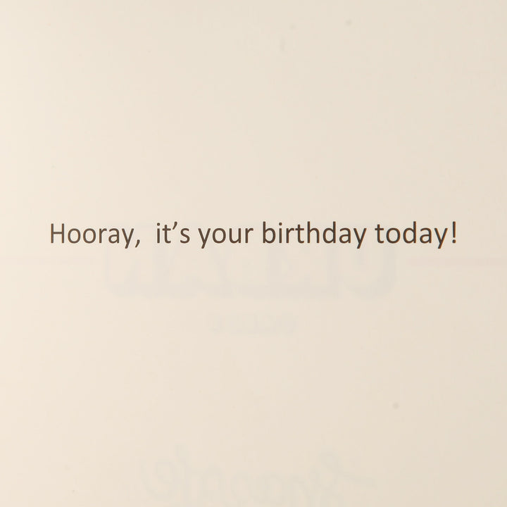 Hooray Card and Wrap Watercolour Craft