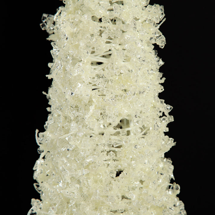 Ice White Cone Tree