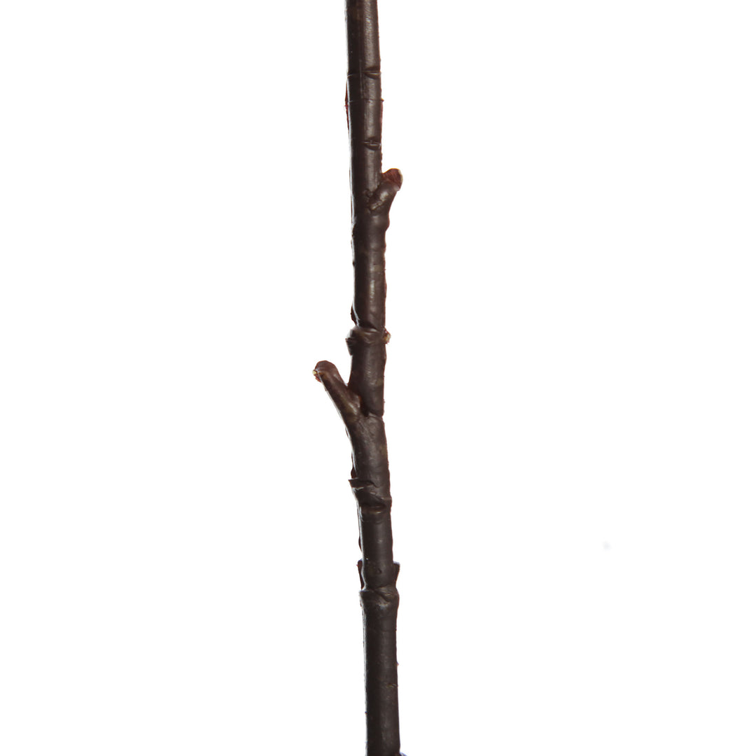 Light Brown Aster Twig Spray - Stem