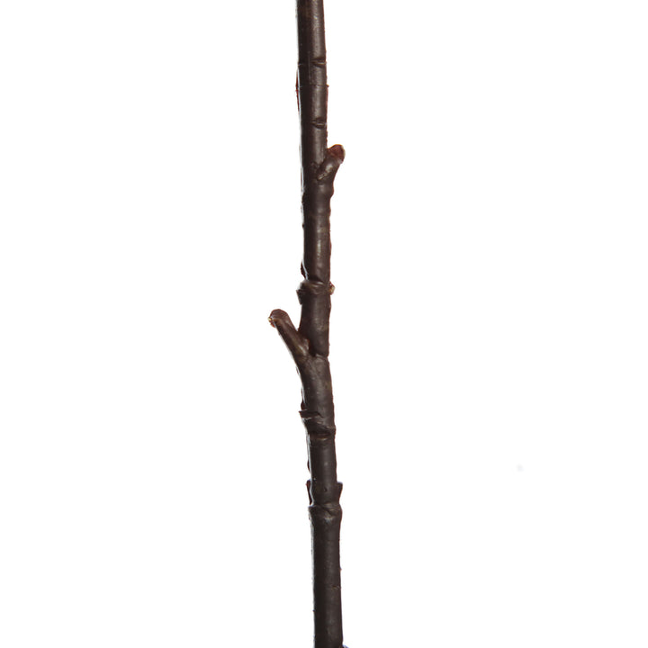 Light Brown Aster Twig Spray - Stem