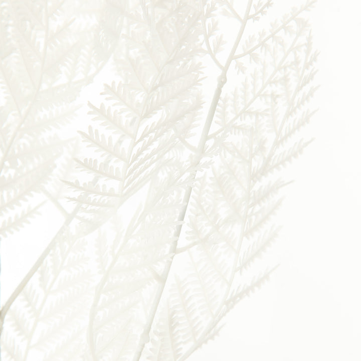 White Fern Spray