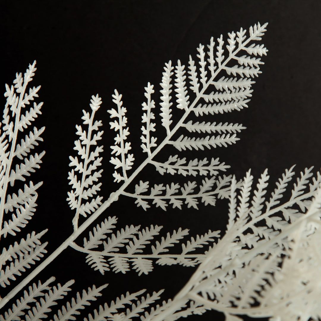 White Fern Spray