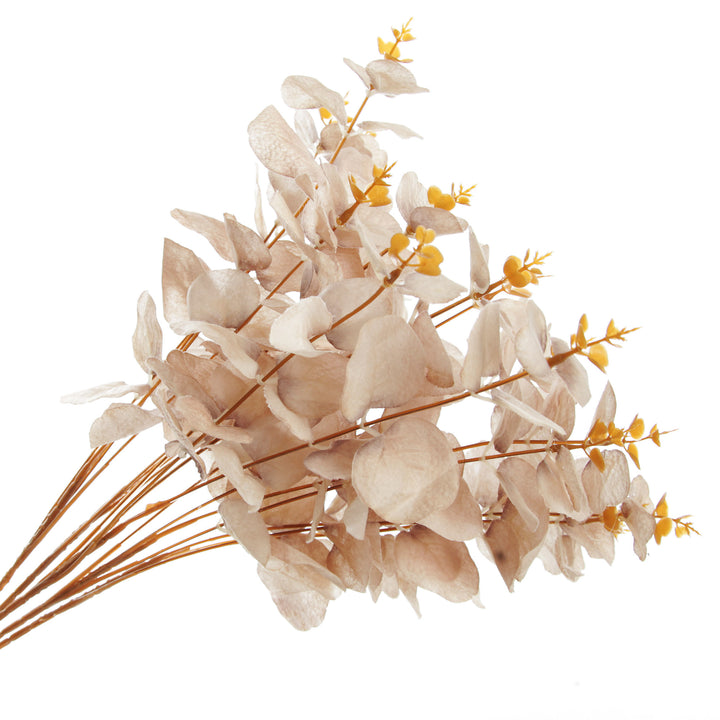 Ivory Eucalyptus Leaf Spray