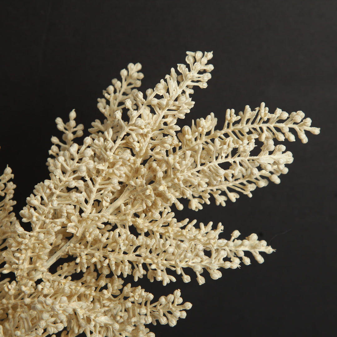 Ivory Faux Pampas Spray