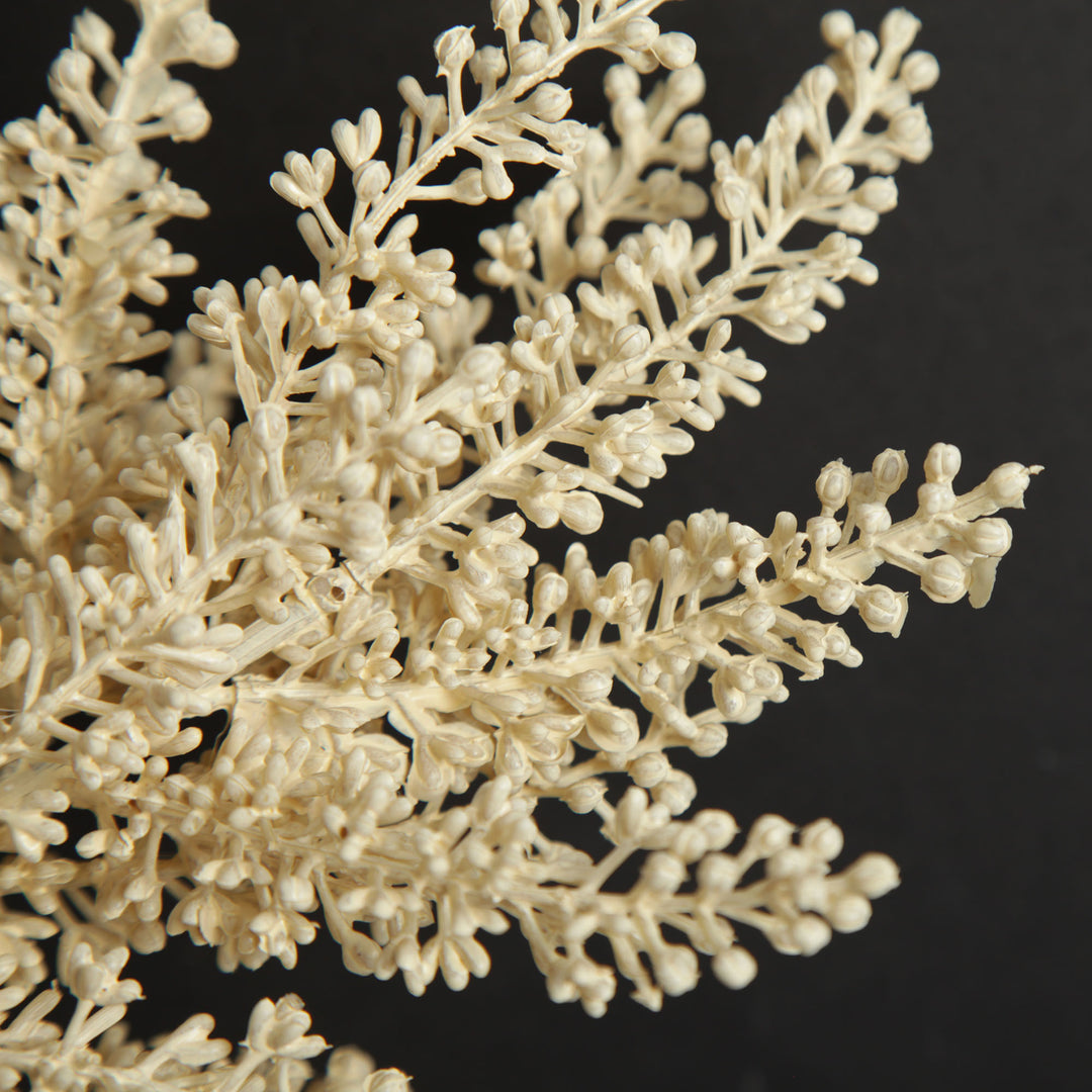 Ivory Faux Pampas Spray