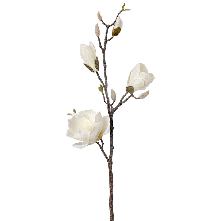 Ivory Frosted Magnolia Branch Spray