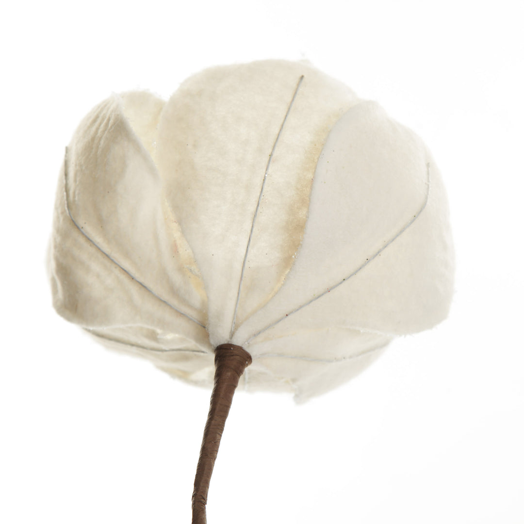 Ivory Magnolia Flower Stem