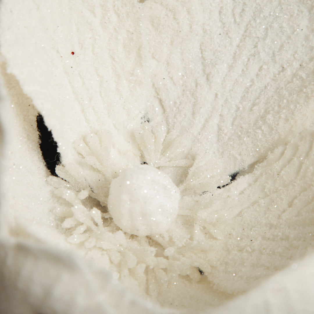 Ivory Magnolia Flower Stem