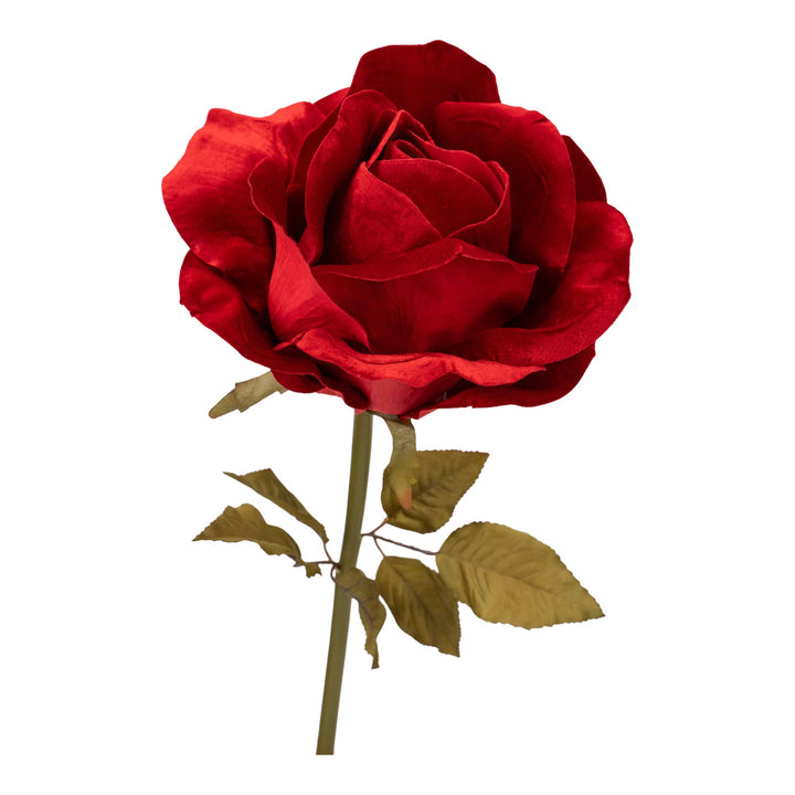 Large Red Rose Flower