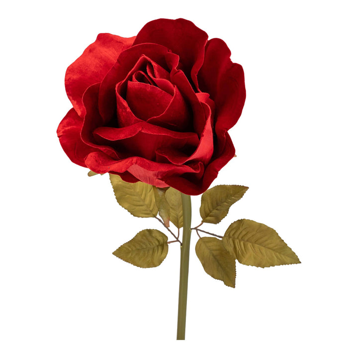 Large Red Rose Flower