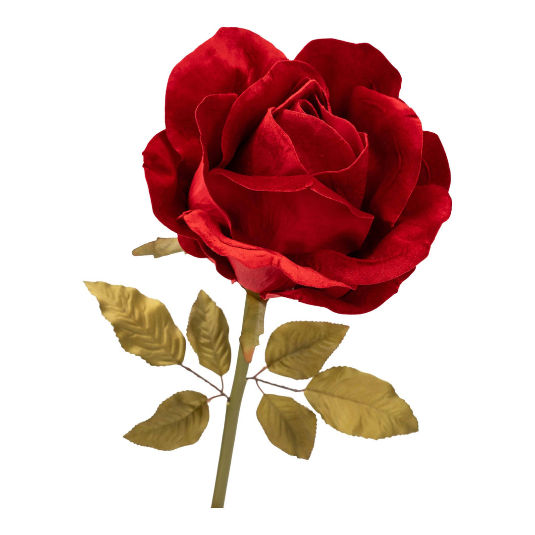 Large Red Rose Flower
