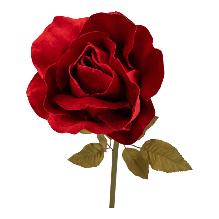Large Red Rose Flower