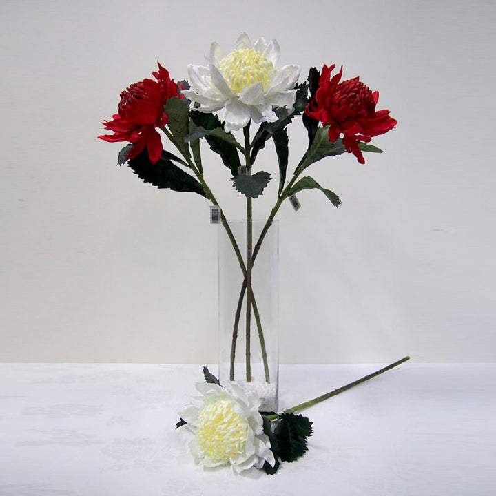 Large Waratah Stem - Red 