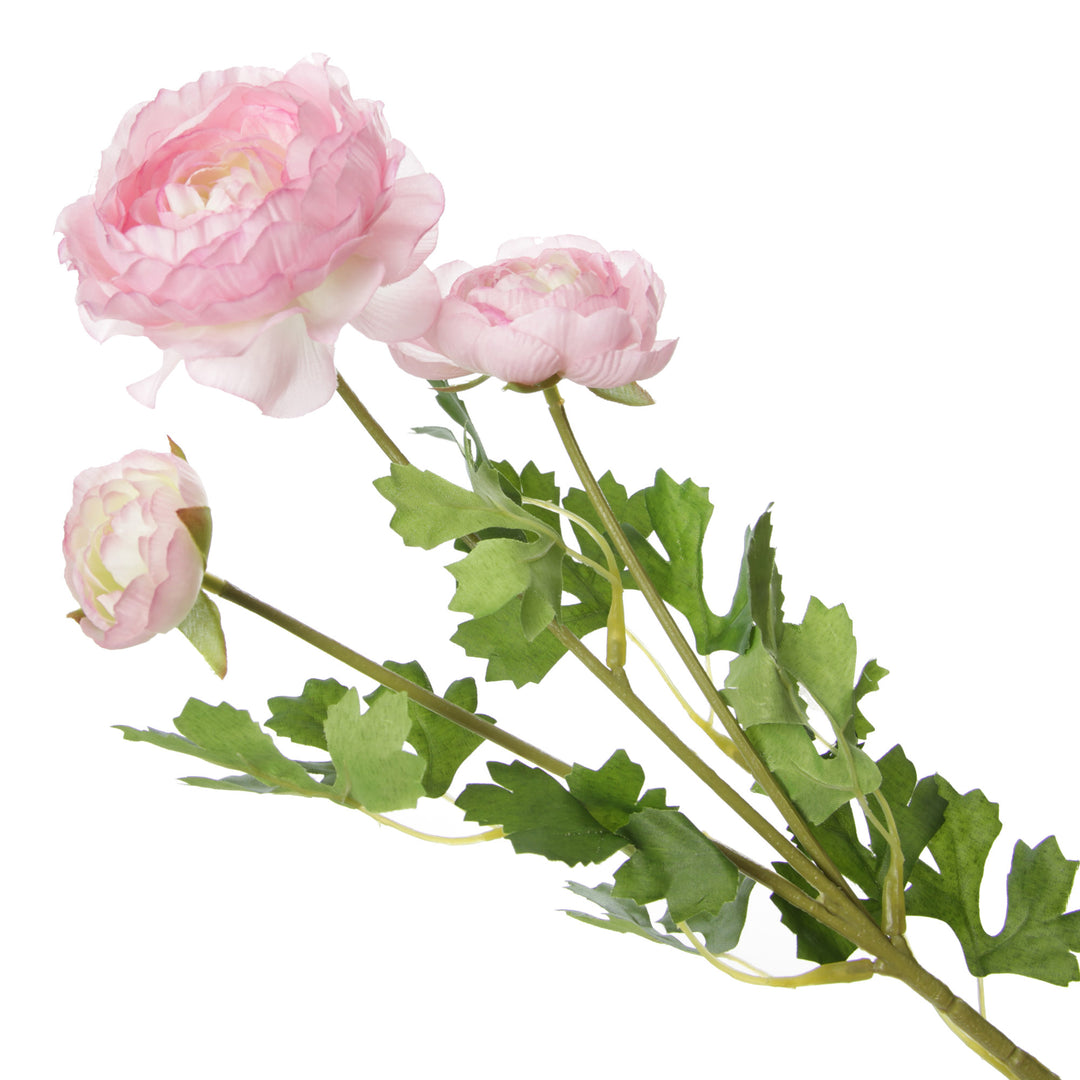 Light Pink Ranunculus Flower Spray