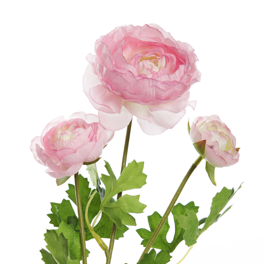 Light Pink Ranunculus Flower Spray