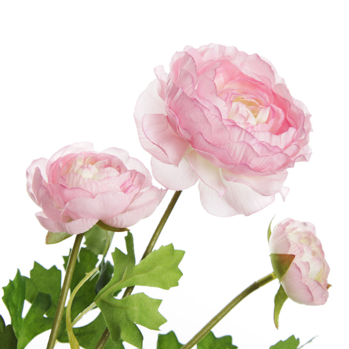 Light Pink Ranunculus Flower Spray