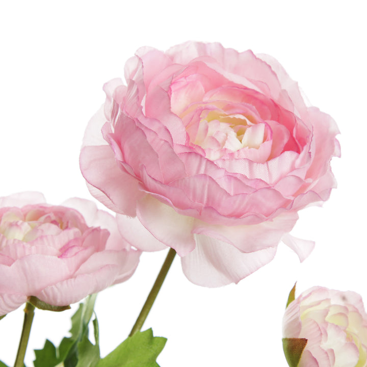 Light Pink Ranunculus Flower Spray