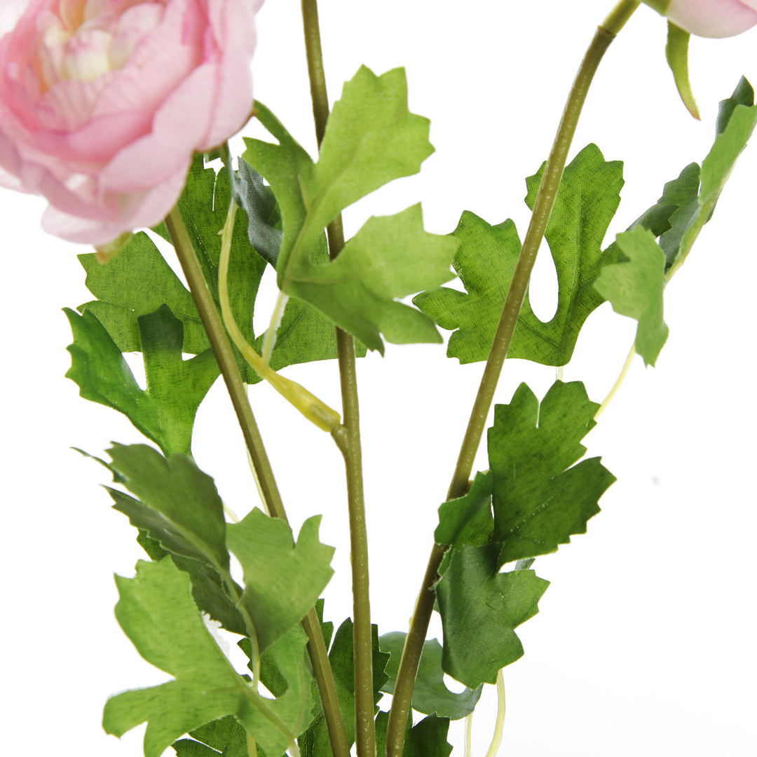 Light Pink Ranunculus Flower Spray