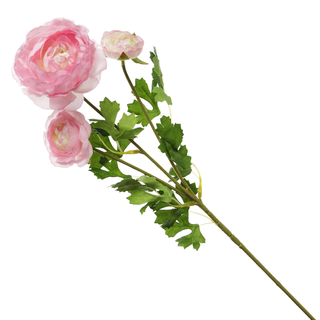 Light Pink Ranunculus Flower Spray