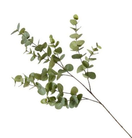 Luxury Eucalyptus Dollar Gum Spray