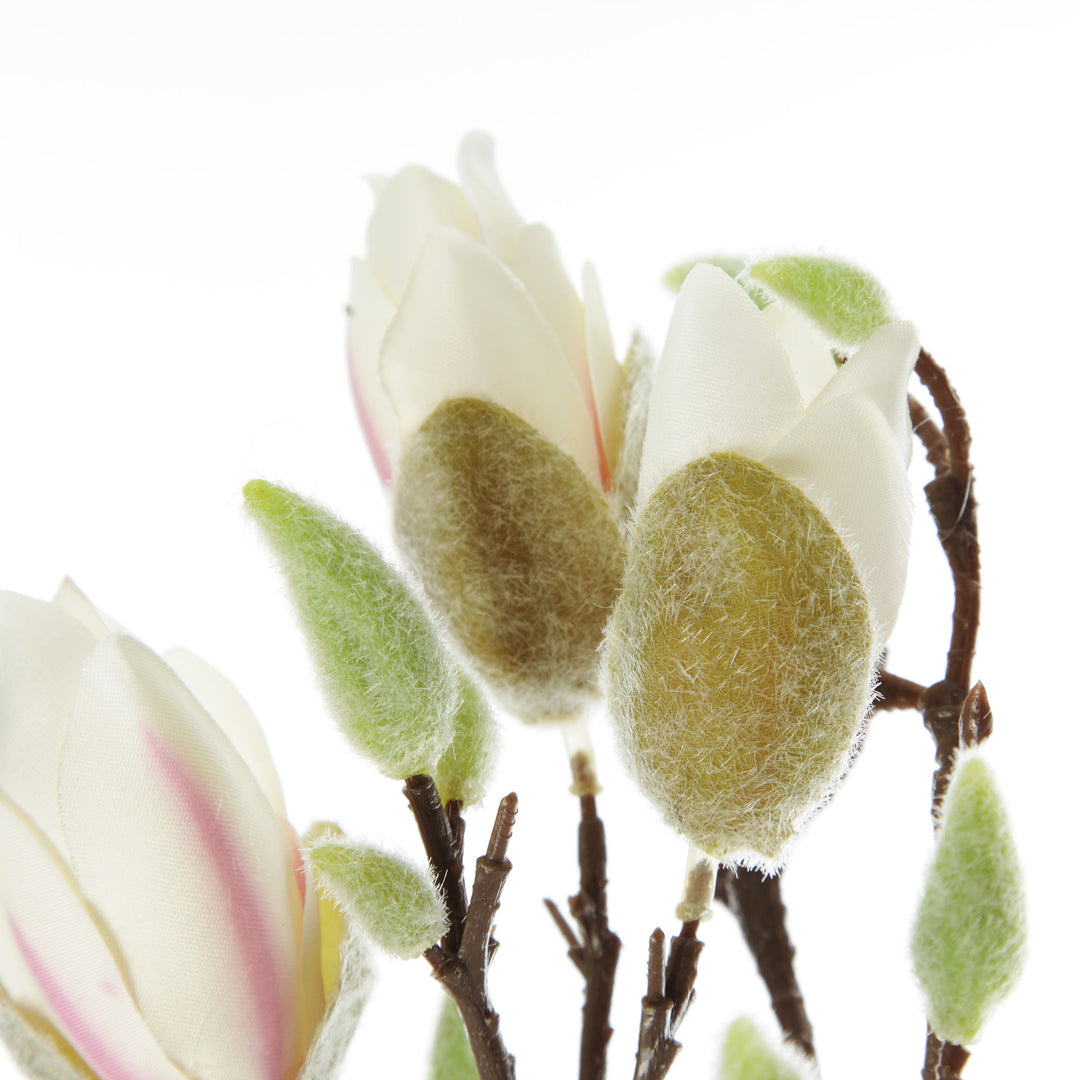 Magnolia Flower Spray