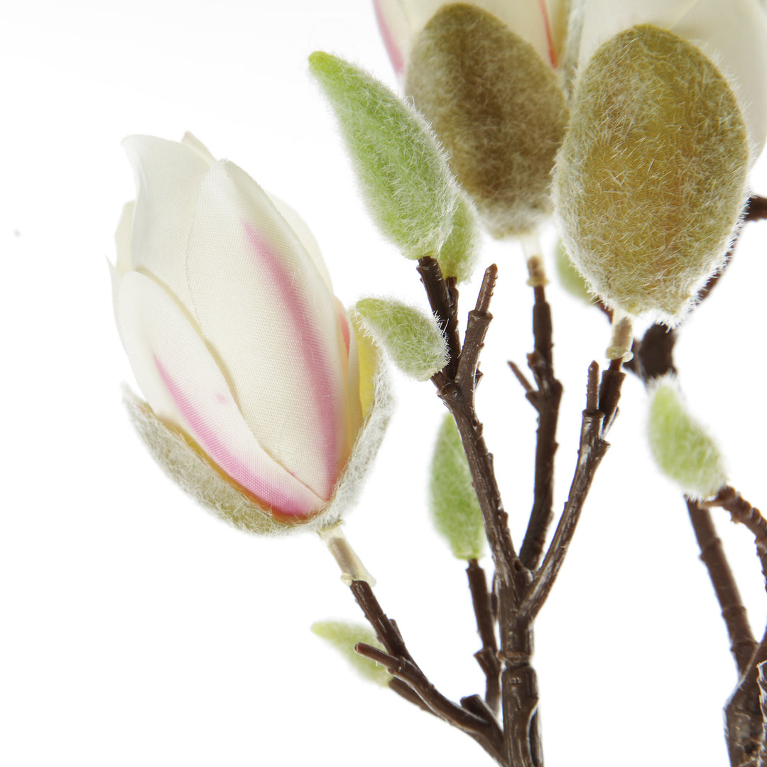 Magnolia Flower Spray