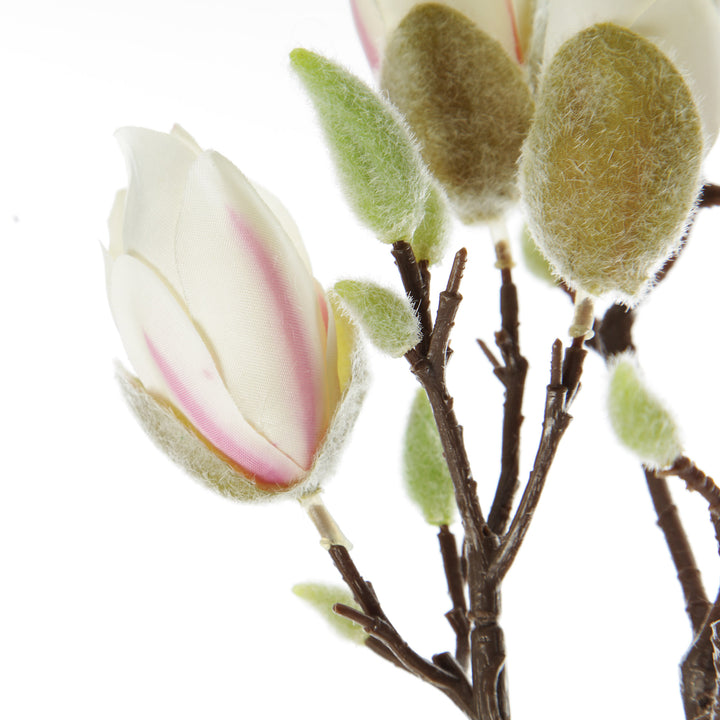 Magnolia Flower Spray