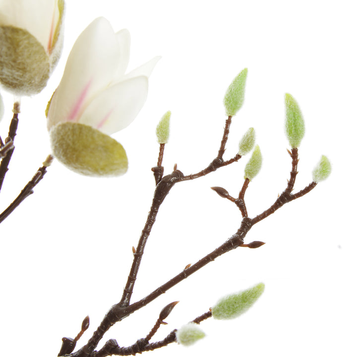 Magnolia Flower Spray