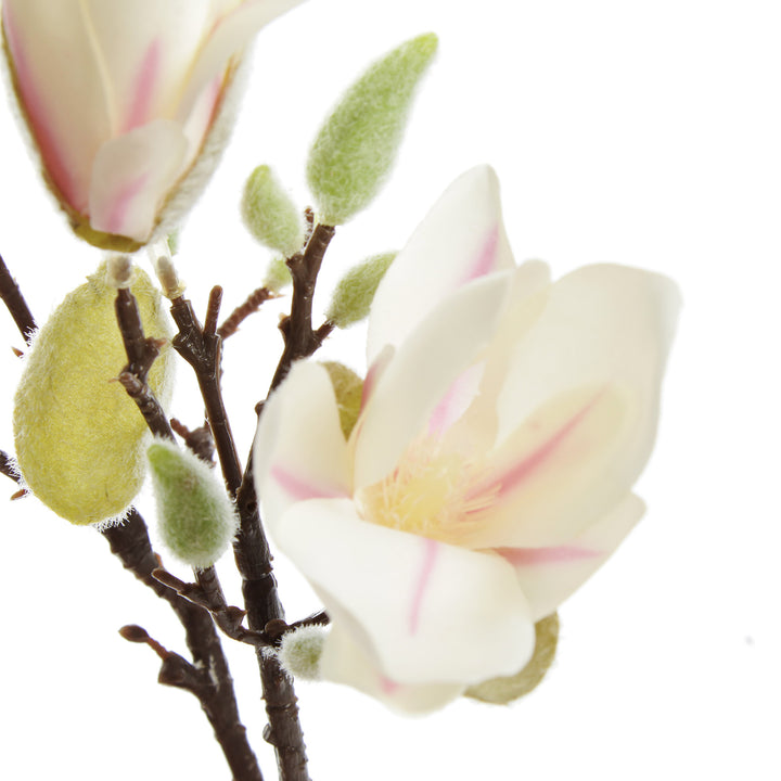 Magnolia Flower Spray