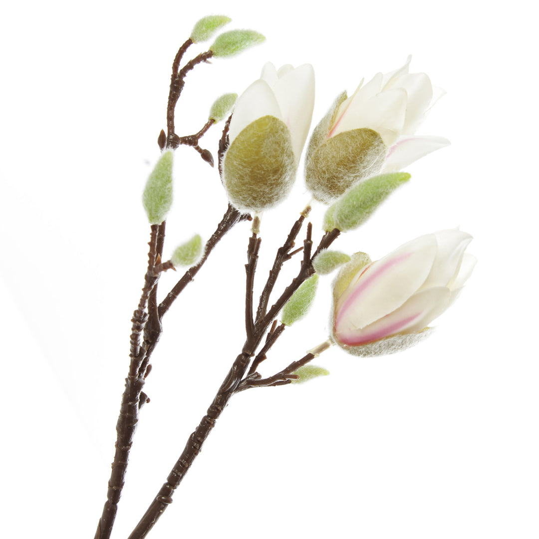 Magnolia Flower Spray