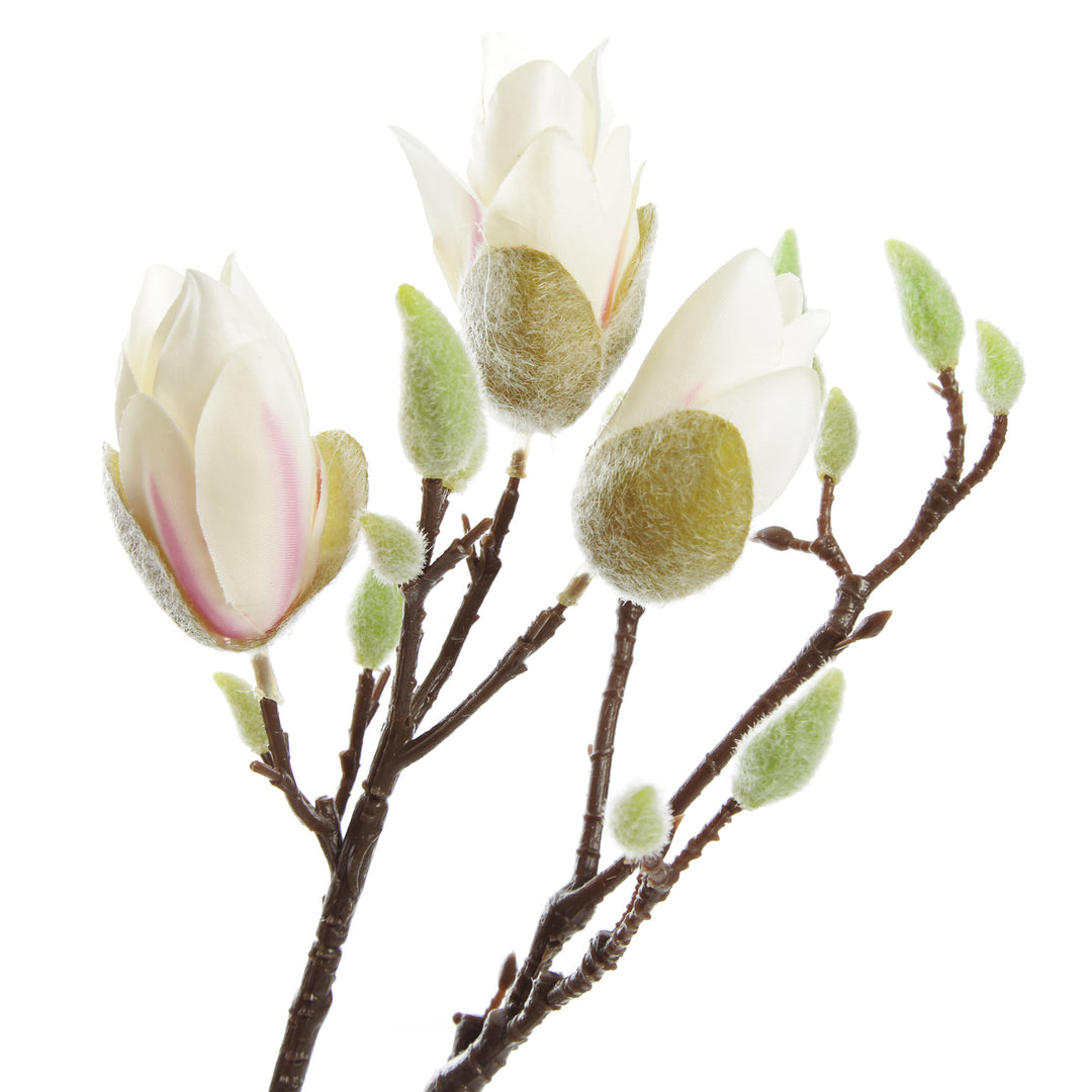 Magnolia Flower Spray