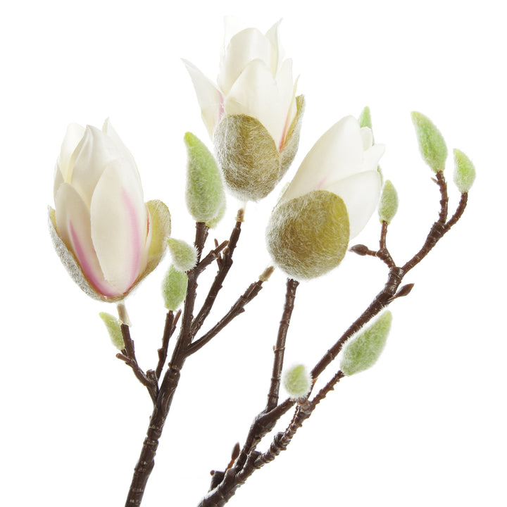 Magnolia Flower Spray