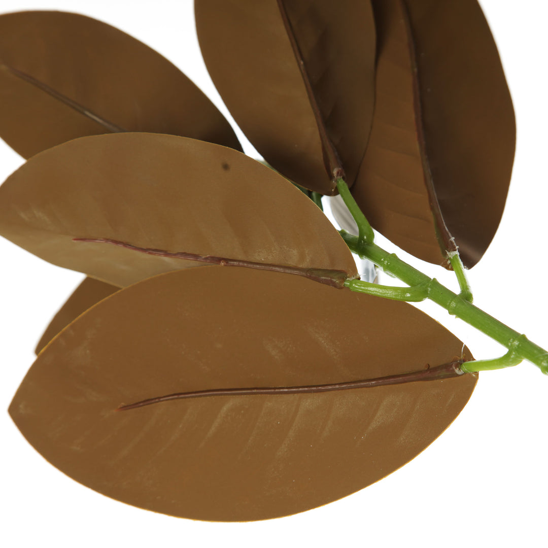 Magnolia Leaf Branch