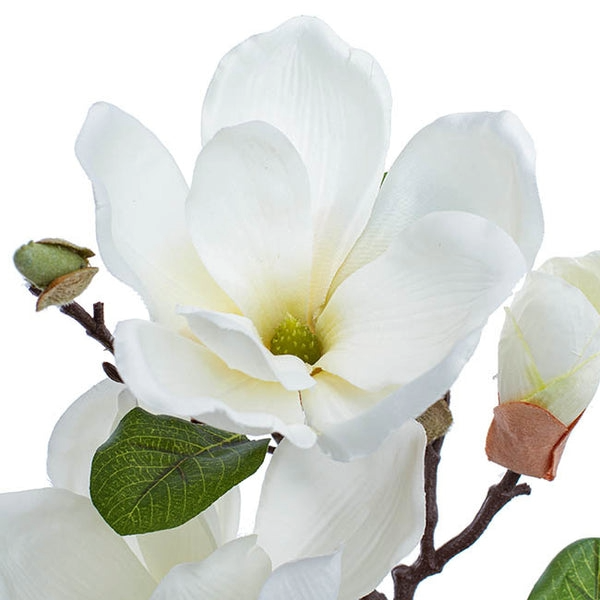 magnolia-open-flower-spray-with-bud-whie-71cmh