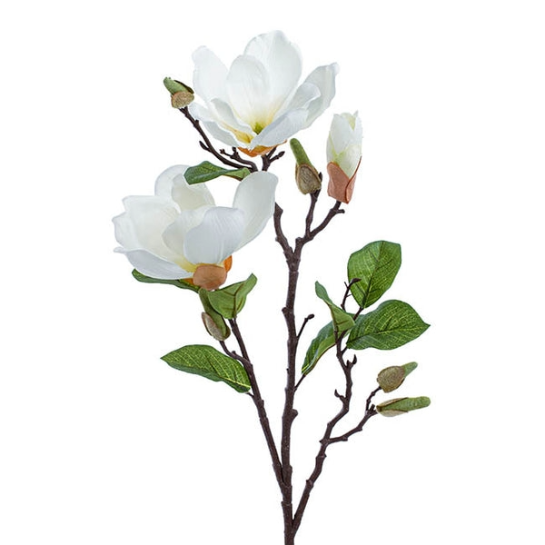 magnolia-open-flower-spray-with-bud-whie-71cmh